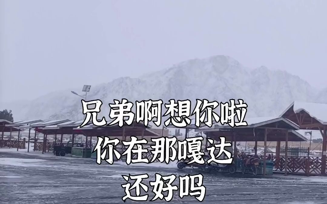 歌曲兄弟想你了哔哩哔哩bilibili