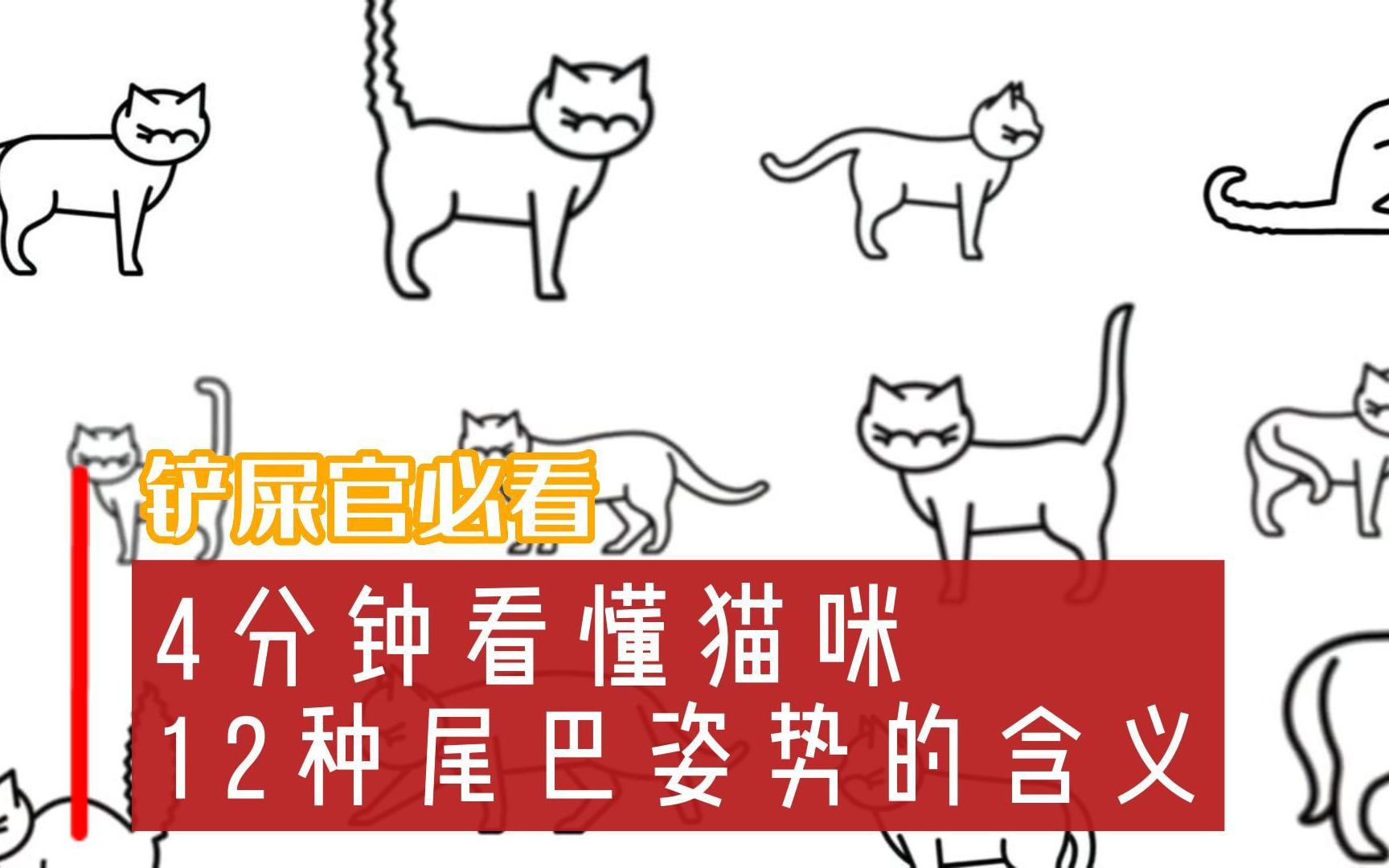 [图]超详细！4分钟看懂猫咪12种尾巴姿势的含义