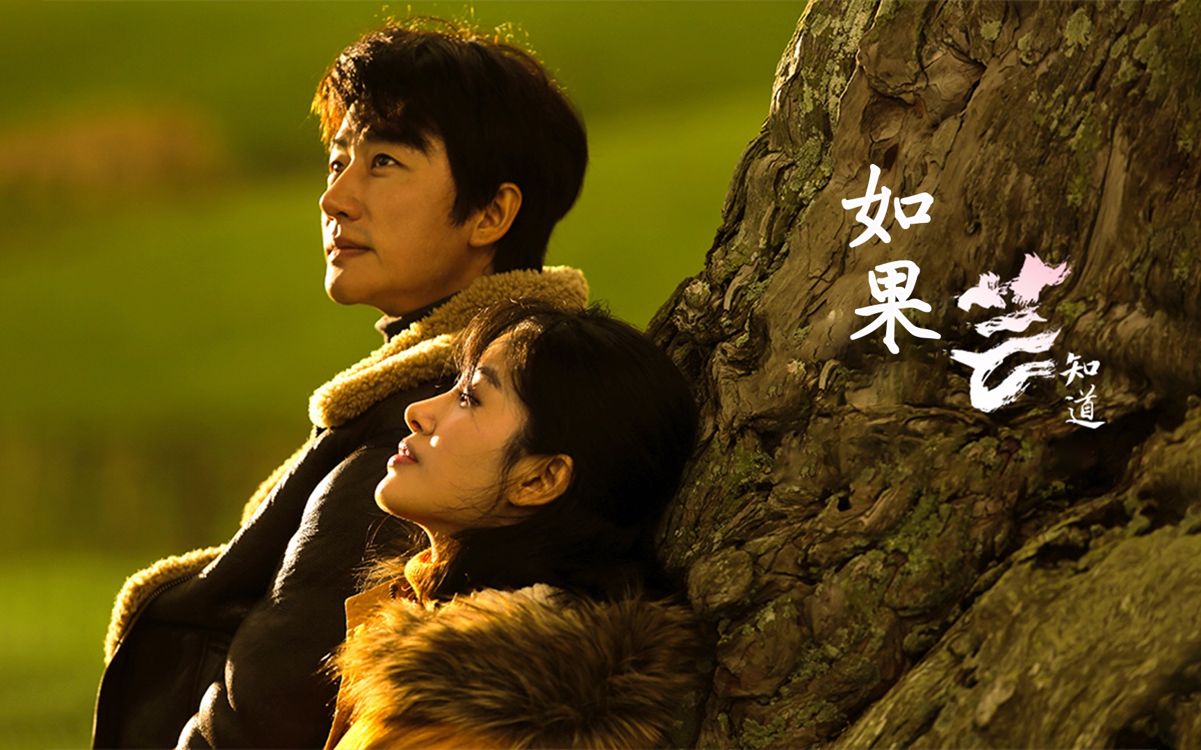 满满的都是回忆!许茹芸演唱的这首《如果云知道》,真是太好听了