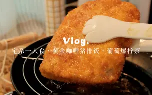 Download Video: 00后独居vlog｜一个人生活的第二年｜晚餐·咖喱猪排饭·葡萄爆柠茶