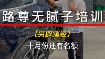 路尊无腻子培训【另辟蹊径】十月份还有名额#无腻子修复 #凹陷修复 #钣金喷漆