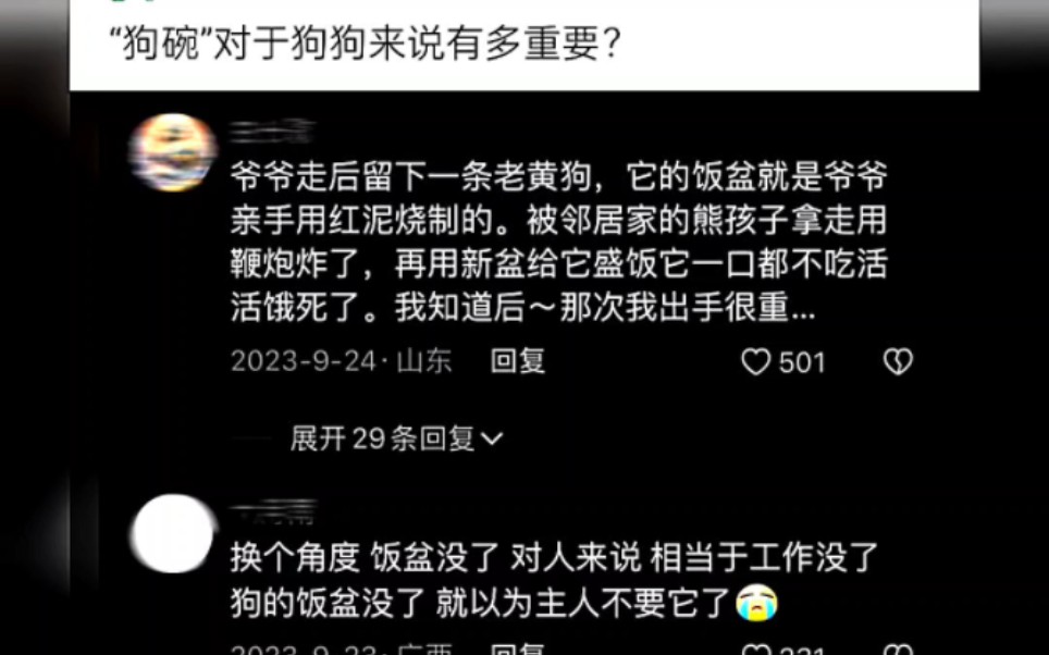 疯评184 狗碗对于狗狗来说有多重要??哔哩哔哩bilibili