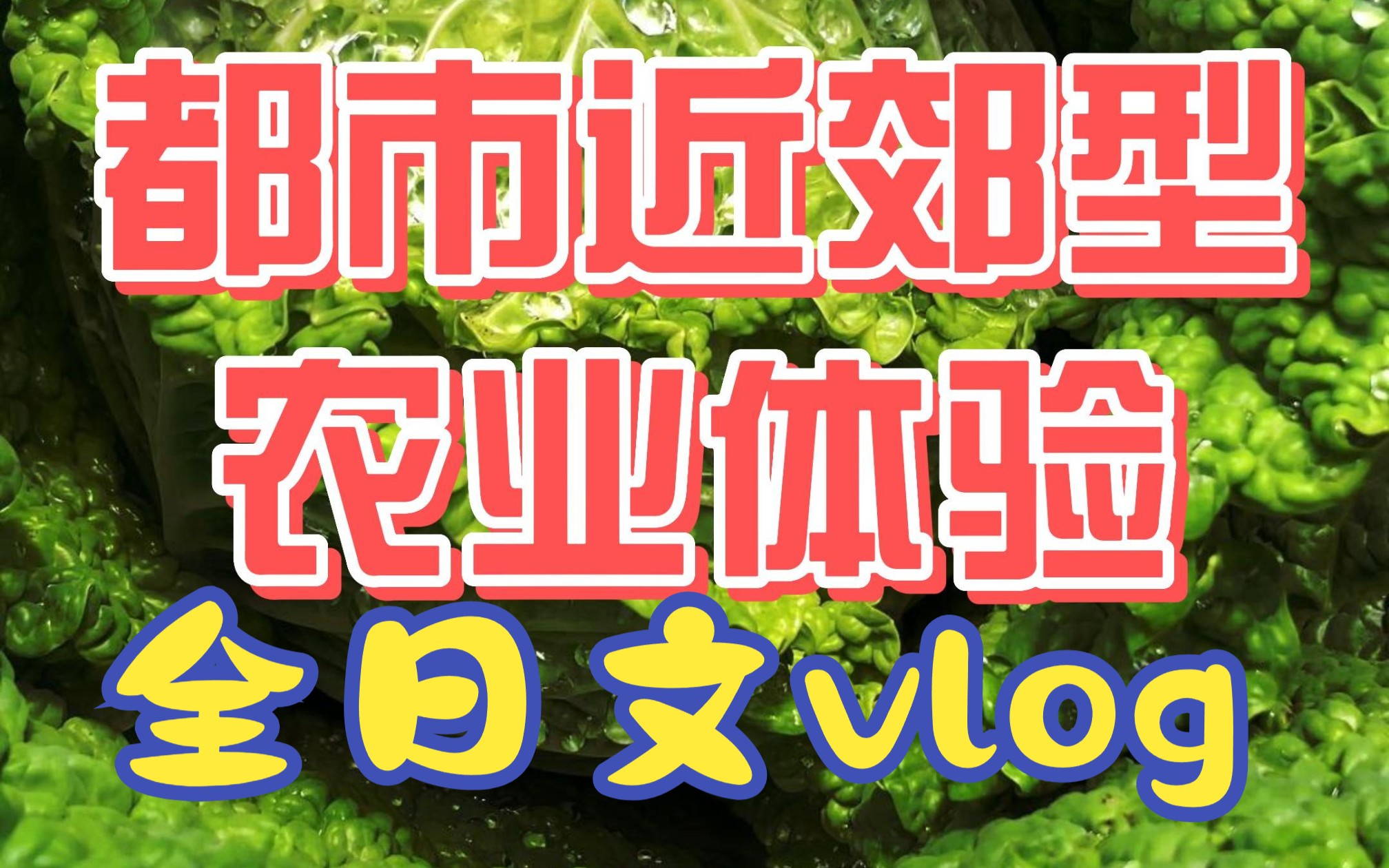 全日文vlog-体验日本农业之都市近郊型农业