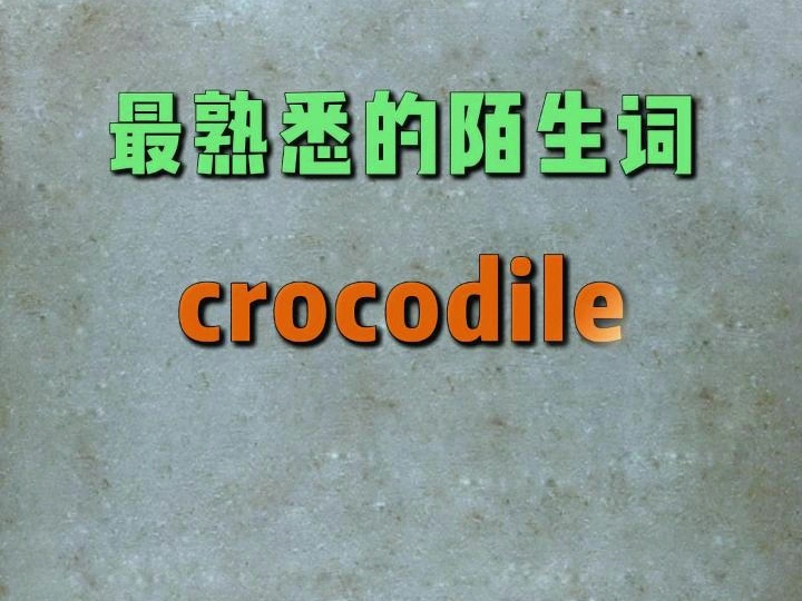 一秒速记高频单词:crocodile哔哩哔哩bilibili