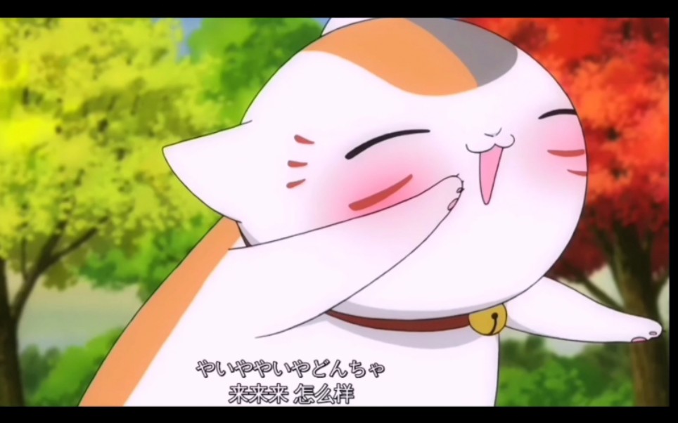 夏目友人帐可爱酒鬼猫咪老师喝酒醉酒合集太可爱了吧