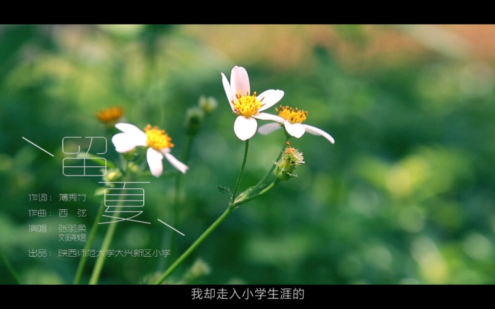 [图]写给小学生的毕业季主题曲《留夏》，愿所有小学毕业生们前途灿烂！