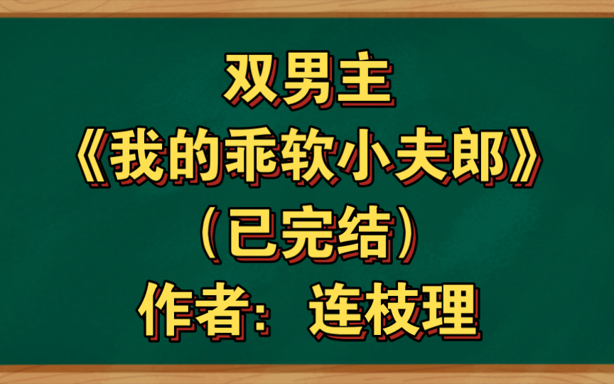 双男主《我的乖软小夫郎》已完结 作者:连枝理,生子 穿越时空 种田文 美食 甜文 穿书【推文】晋江哔哩哔哩bilibili