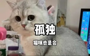 Video herunterladen: 猫咪孤独的表现，如果你家猫有以上表现就证明它已经孤独了