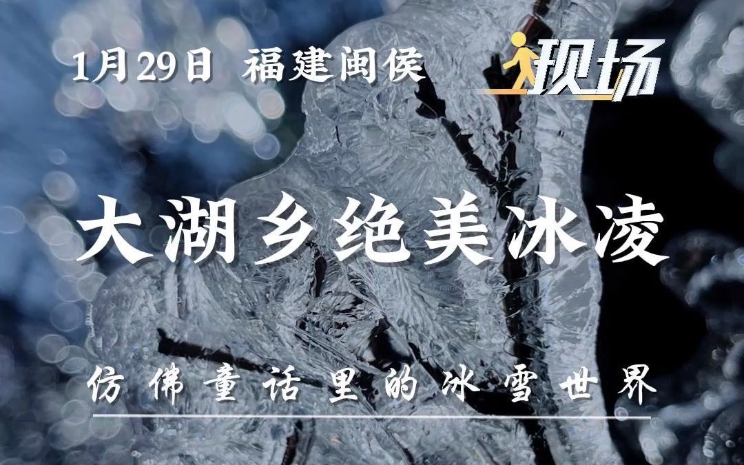 绝美冰凌!1月26日中午,闽侯大湖乡附近现罕见冰凌挂枝.哔哩哔哩bilibili