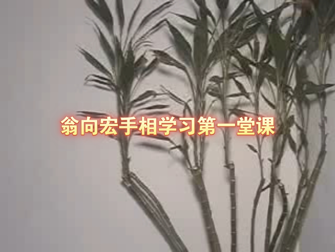 翁向宏手相应用学习.哔哩哔哩bilibili