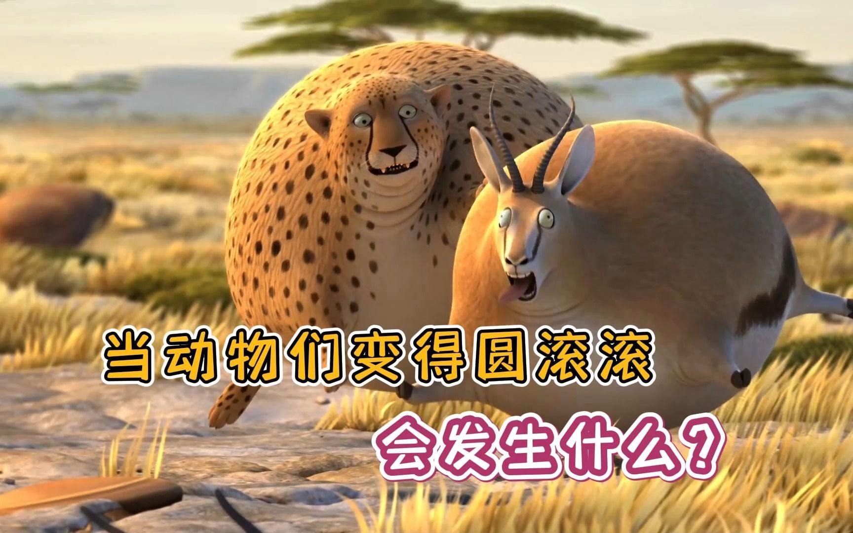 当动物们都胖成球,会发生什么有趣的事情?这是你意料之中的事吗?