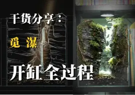 Download Video: 水陆缸造景（觅瀑）制作全过程分享