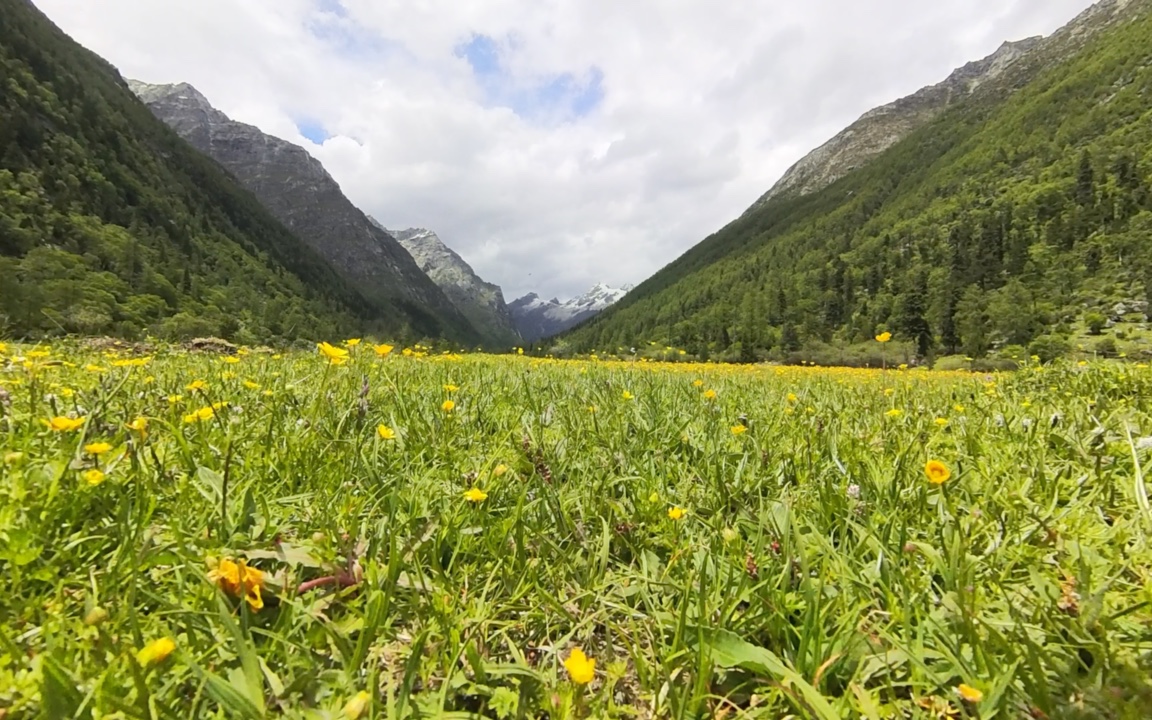 37000步换回的美景——四姑娘山长坪沟