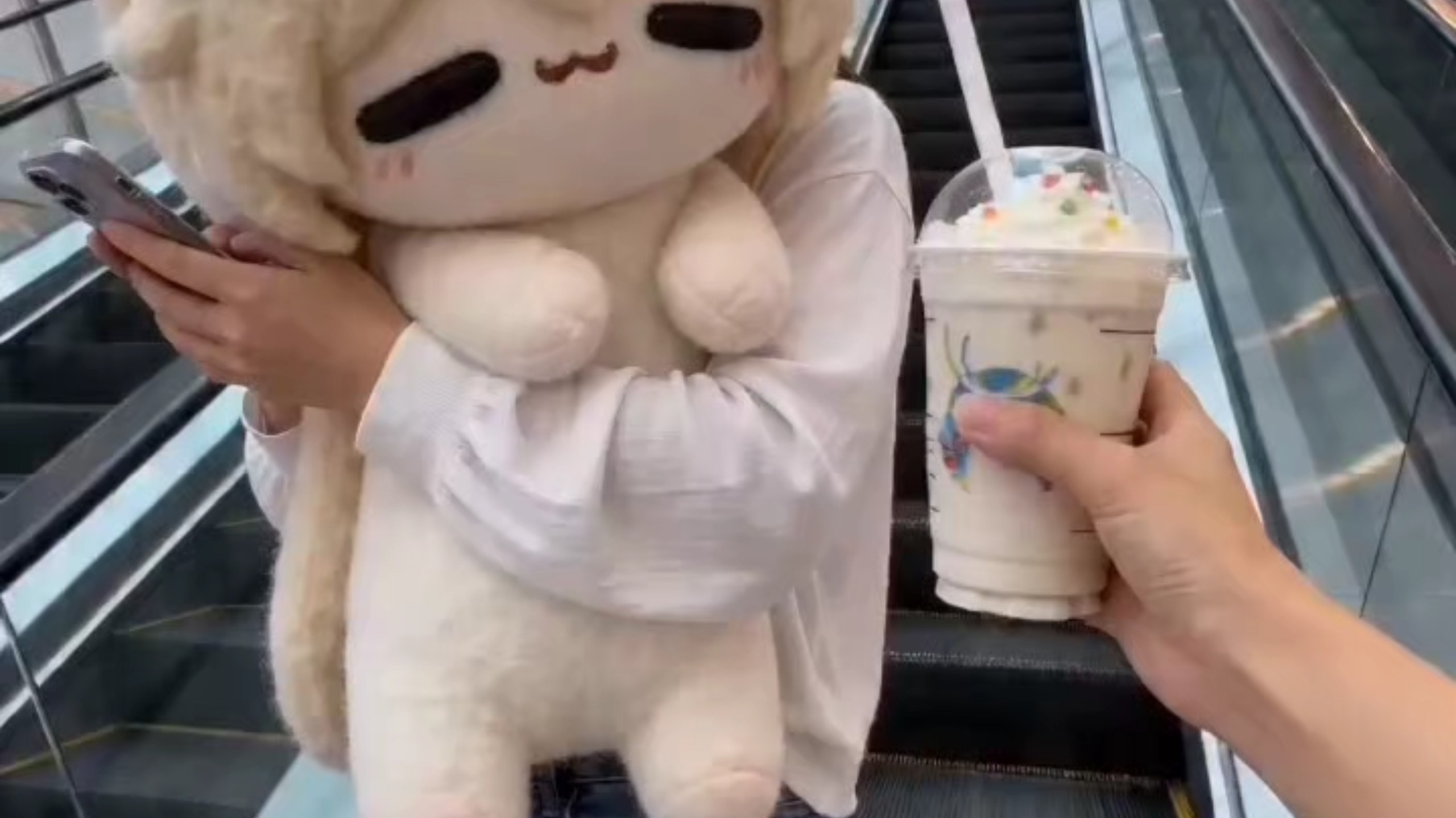 糖喵喝奶茶