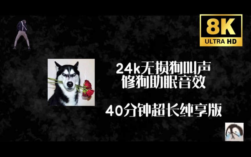 「助眠」立体环绕声狗叫,戴上耳机体验狗在身边狂叫的声音哔哩哔哩bilibili