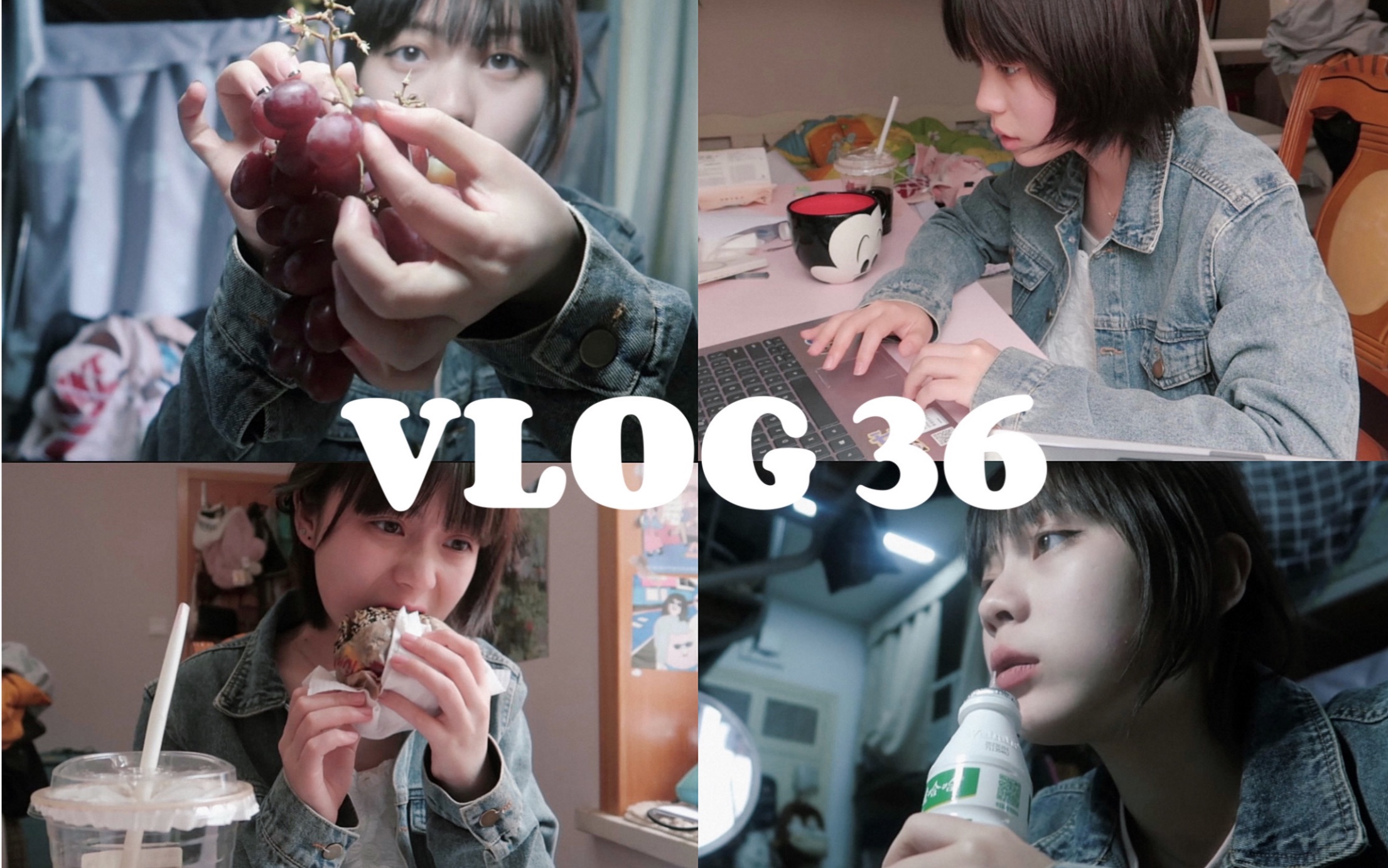 【VLOG 36】大四狗就是会被论文逼疯哔哩哔哩bilibili