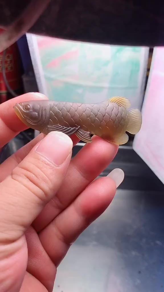 小徒弟弄的金龙鱼还不错,翡翠雕刻!