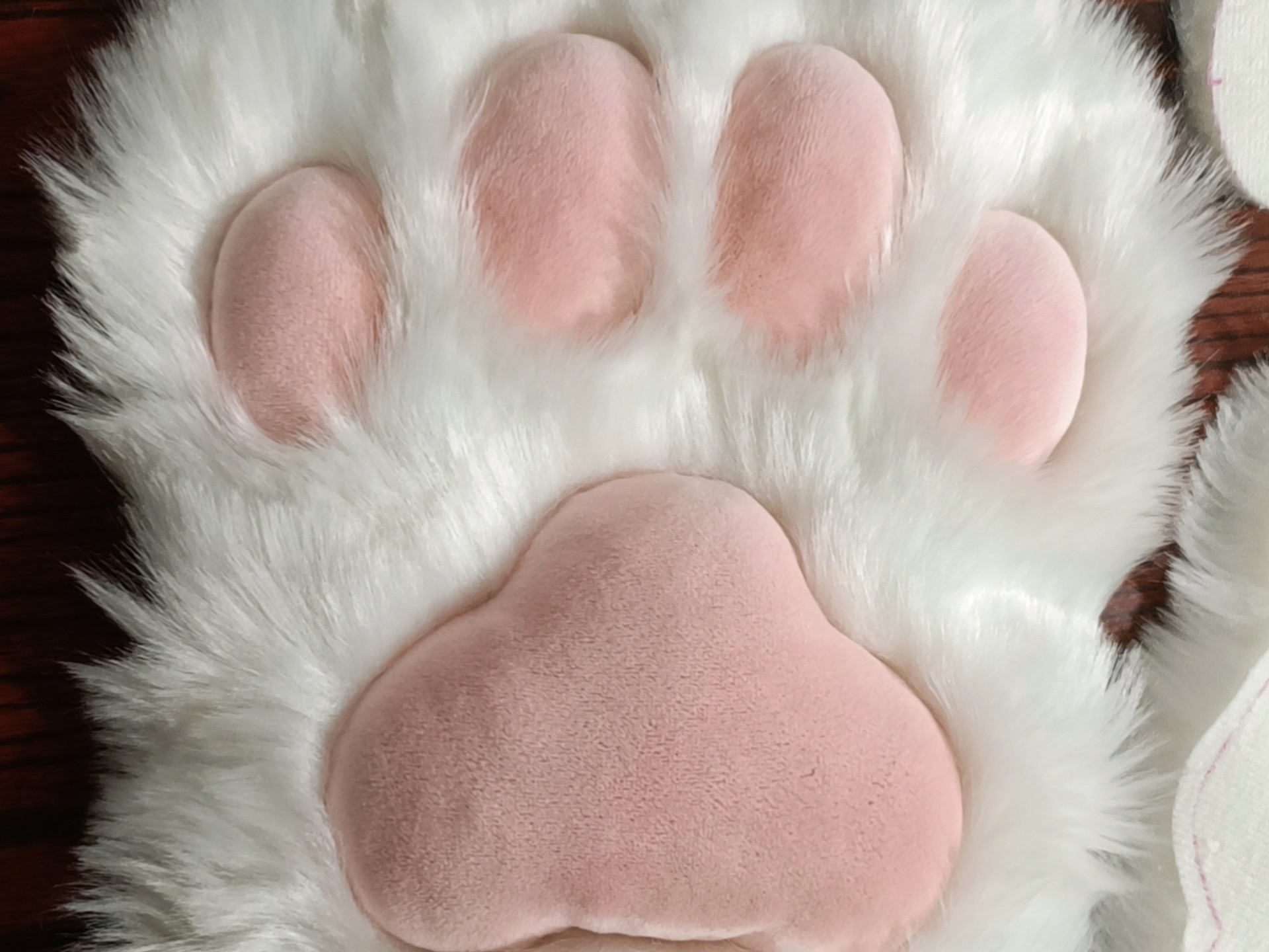 萌得我给软乎乎的脚底板肉垫做了一套心肺复苏