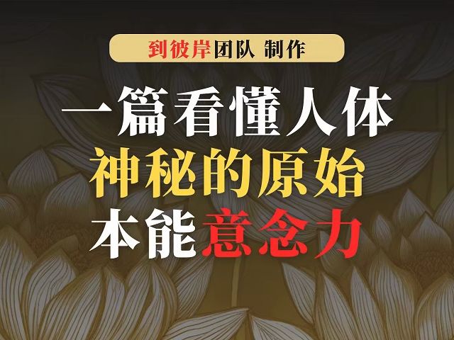 一篇看懂人体神秘的原始本能意念力!(必读)哔哩哔哩bilibili