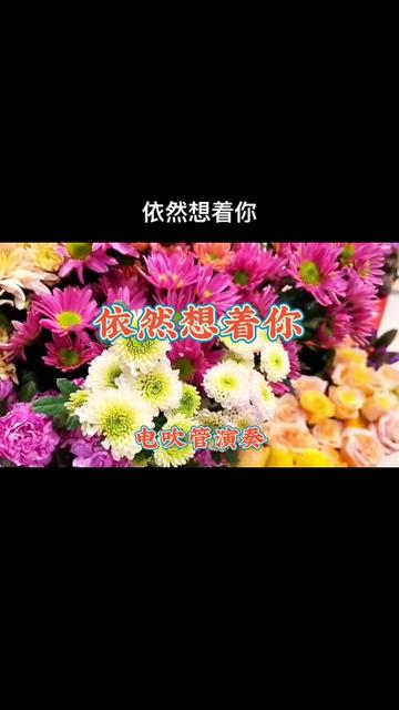 《依然想着你》旋律优美,抒情又舒心