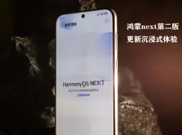 Descargar video: pura70pro+鸿蒙next第二版更新沉浸式体验