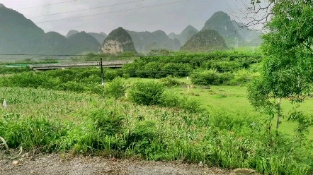 喜欢这句诗:海压竹枝低复举,风吹山角晦还明.不嫌屋漏无乾处,正要群龙洗甲兵.宋代诗人陈与义.#禅悟人生 #陈与义诗 #灵遁者 他的诗歌好,可是我...