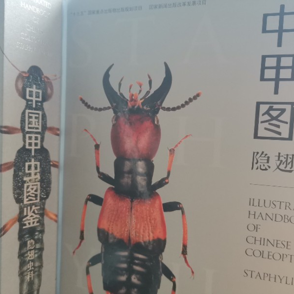 新到的宝藏级图鉴，《中国甲虫图鉴隐翅虫科》分享推荐_哔哩哔哩_bilibili