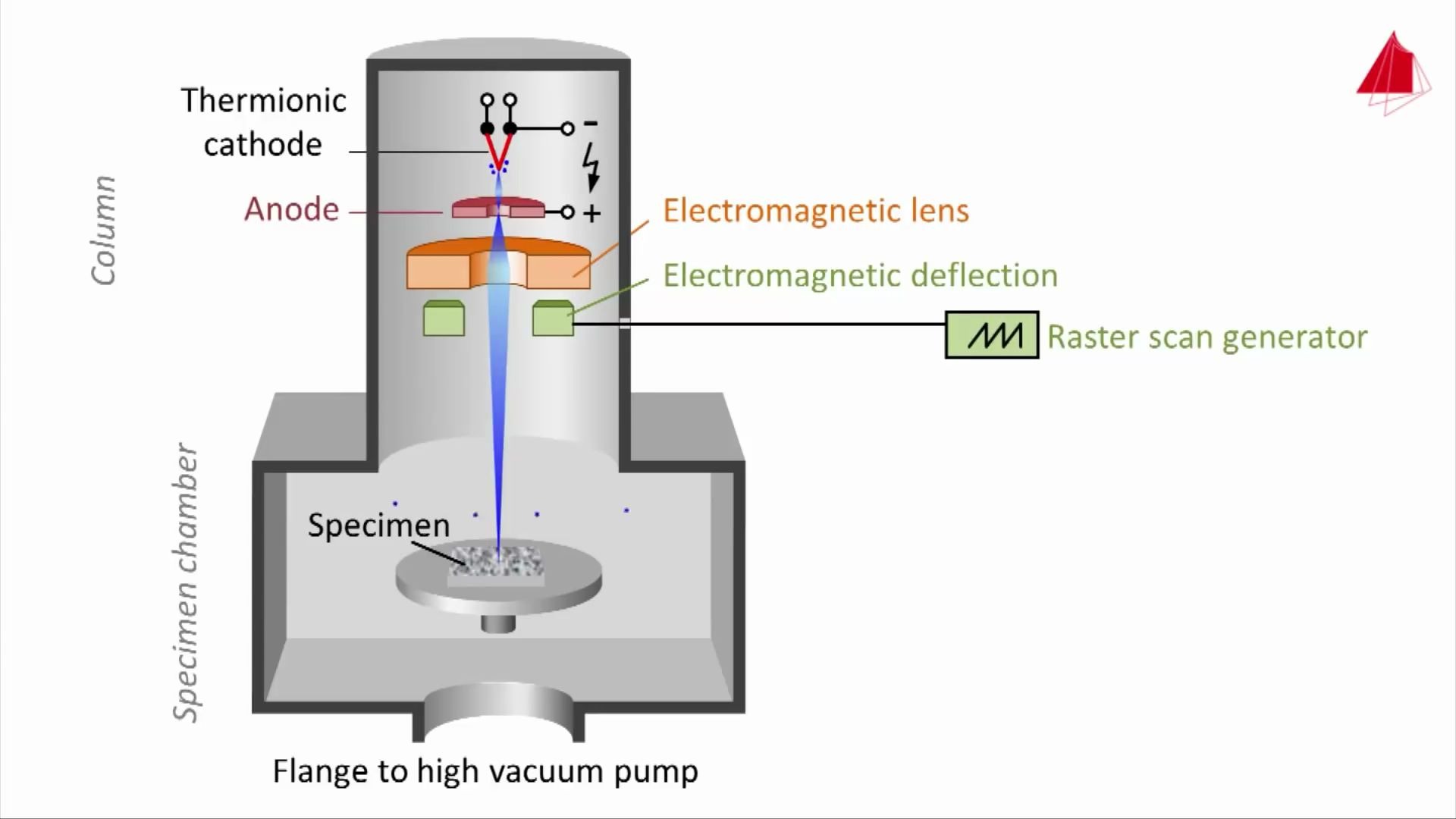 扫描电子显微镜 The Scanning Electron Microscope (SEM)哔哩哔哩bilibili