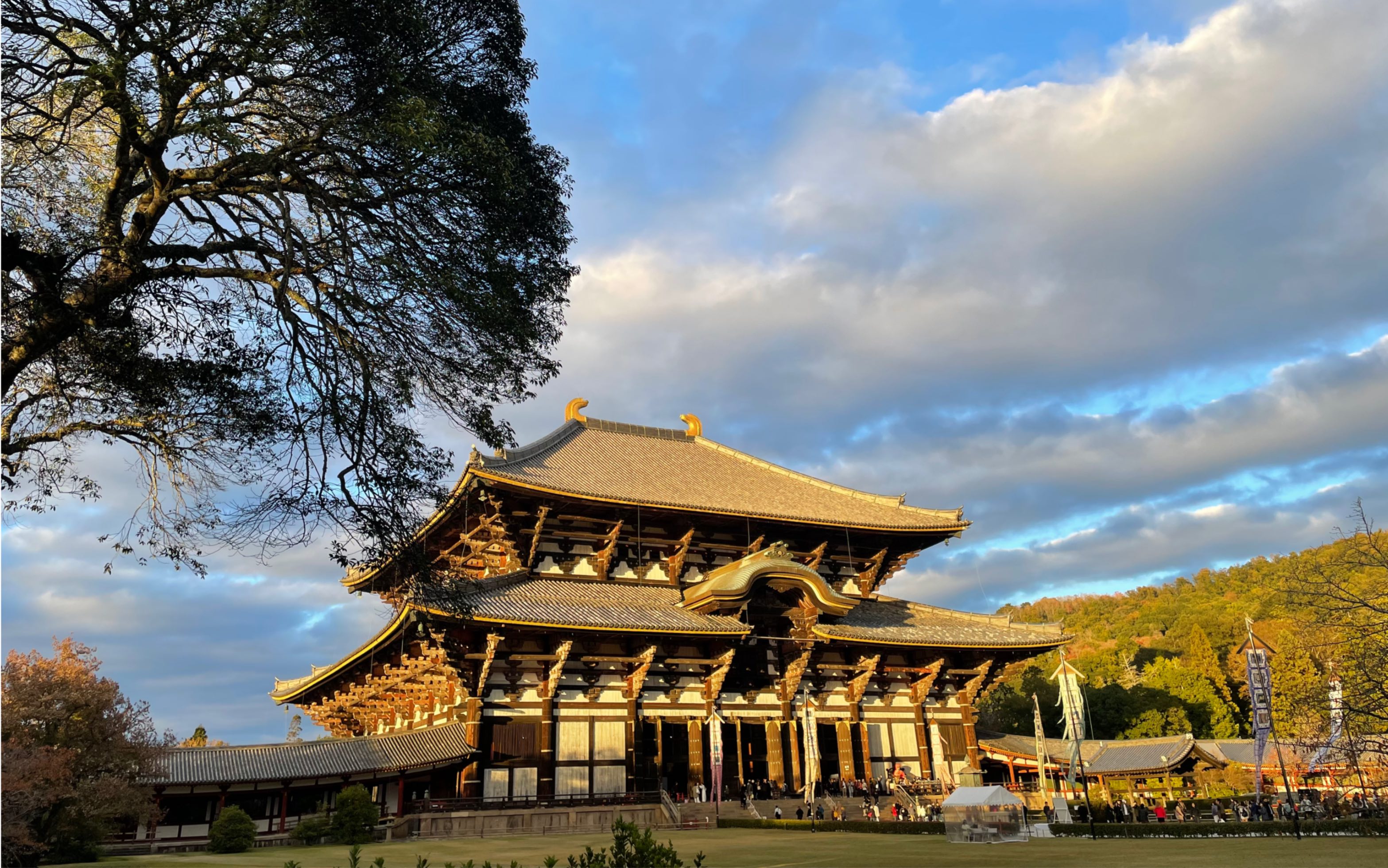 京都清水寺,奈良东大寺一日游