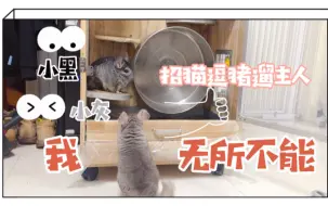 【龙猫】我无所不能