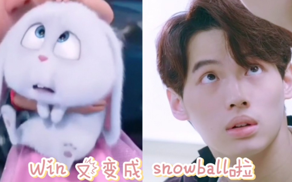 [图]【Win/林汉洲】赢仔又变snowball啦(含彩蛋/超甜/可爱)