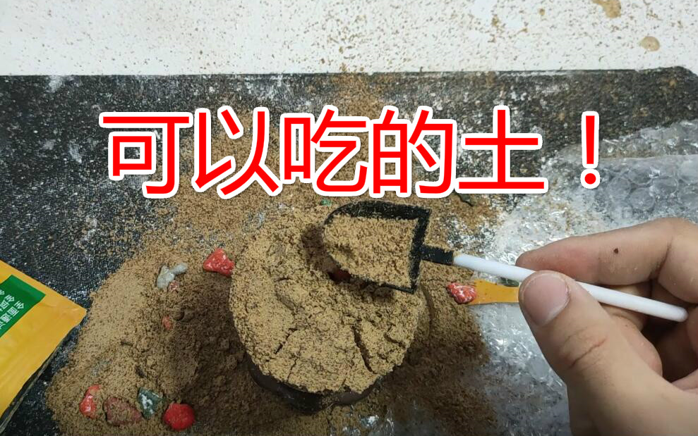 土真的可以吃了!奇葩小伙网购买了个“可食用的土!”饱腹感十足!哔哩哔哩bilibili