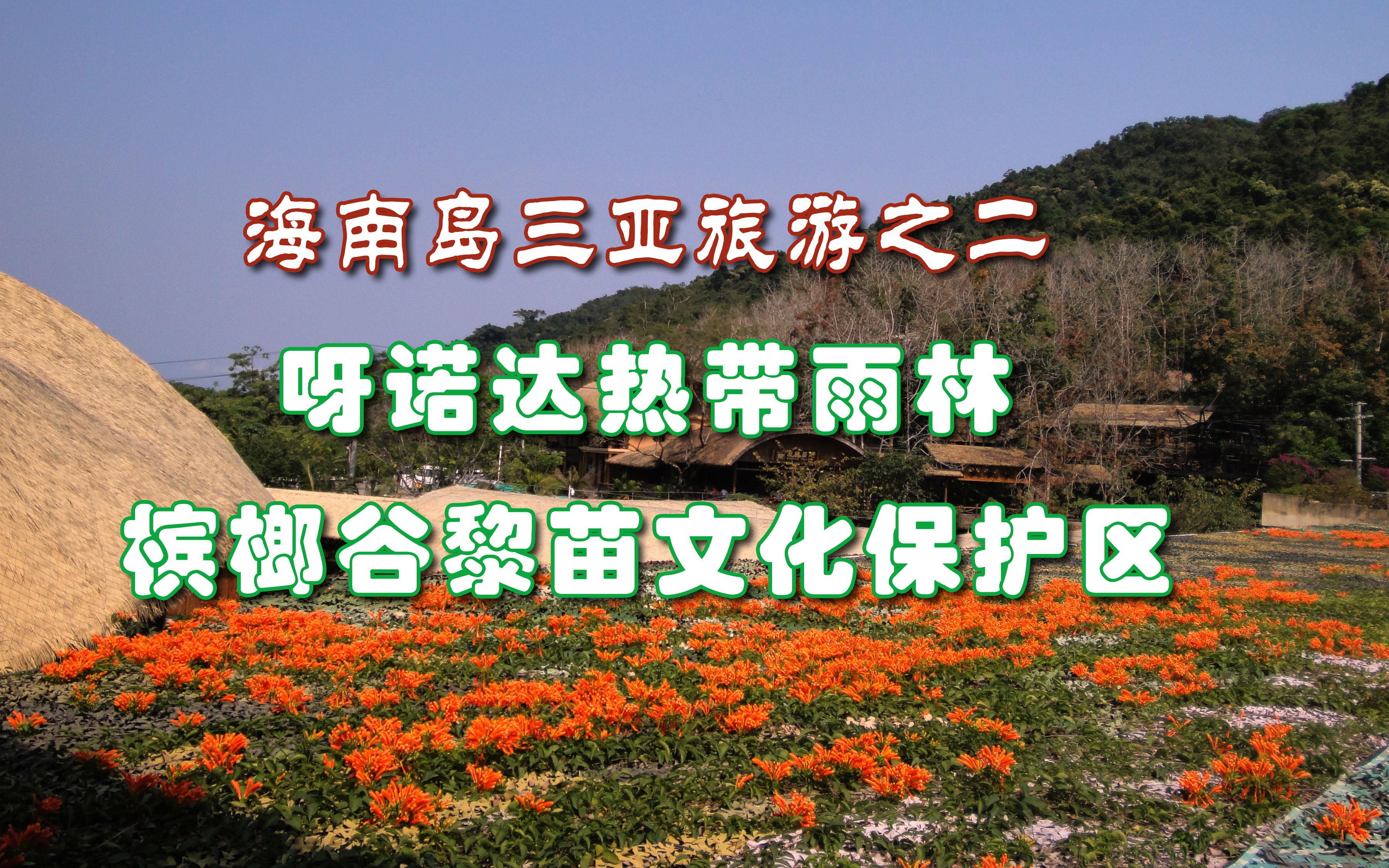 海南岛三亚旅游之二,呀诺达热带雨林和槟榔谷黎苗文化保护区