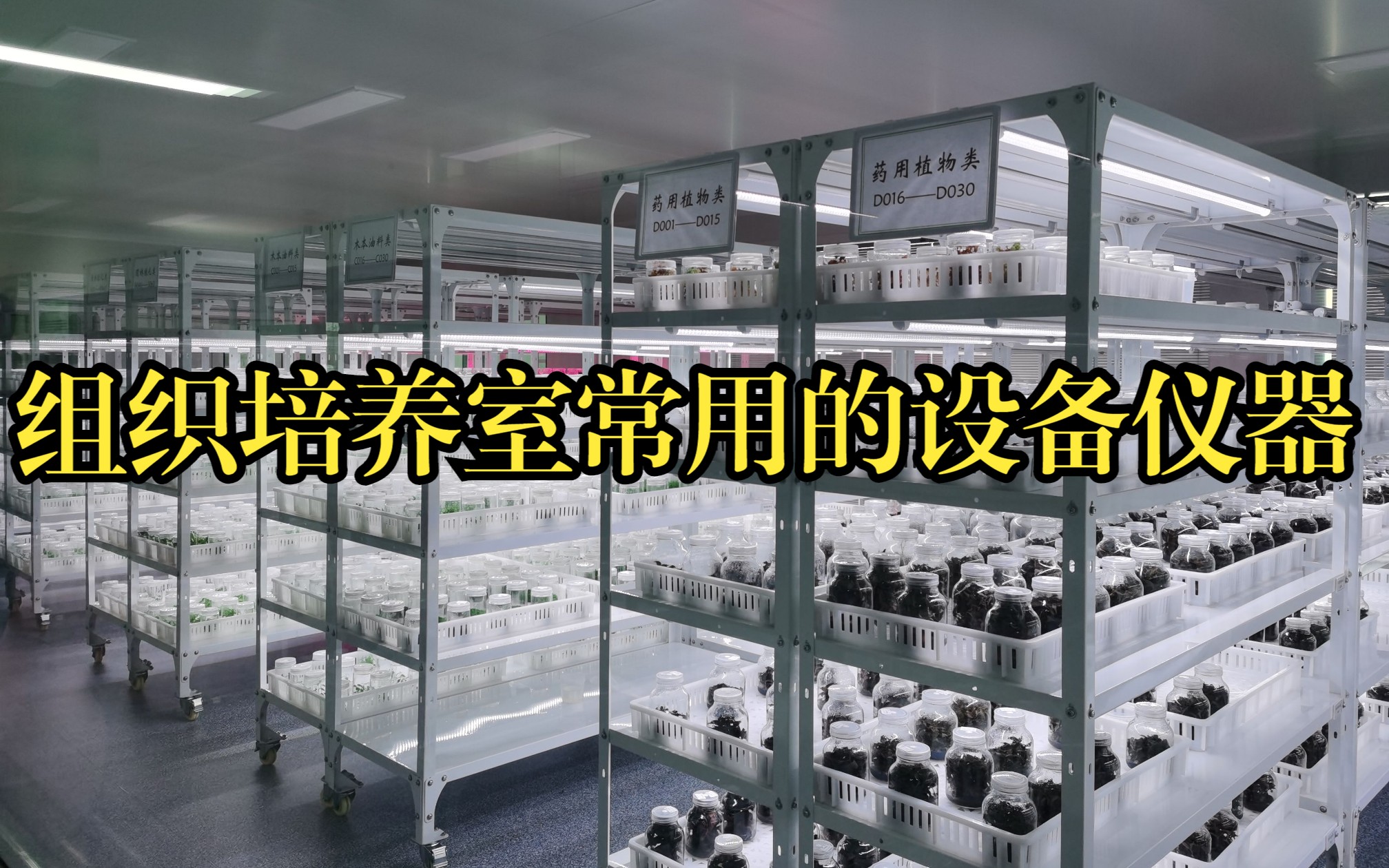 组织培养室常用的设备仪器 全套组培设备的预算价格清单 组培架定做 培养架材质哔哩哔哩bilibili