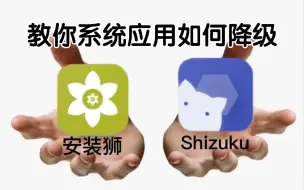 Download Video: 【安装狮】系统应用降级，保姆级教学（免root）