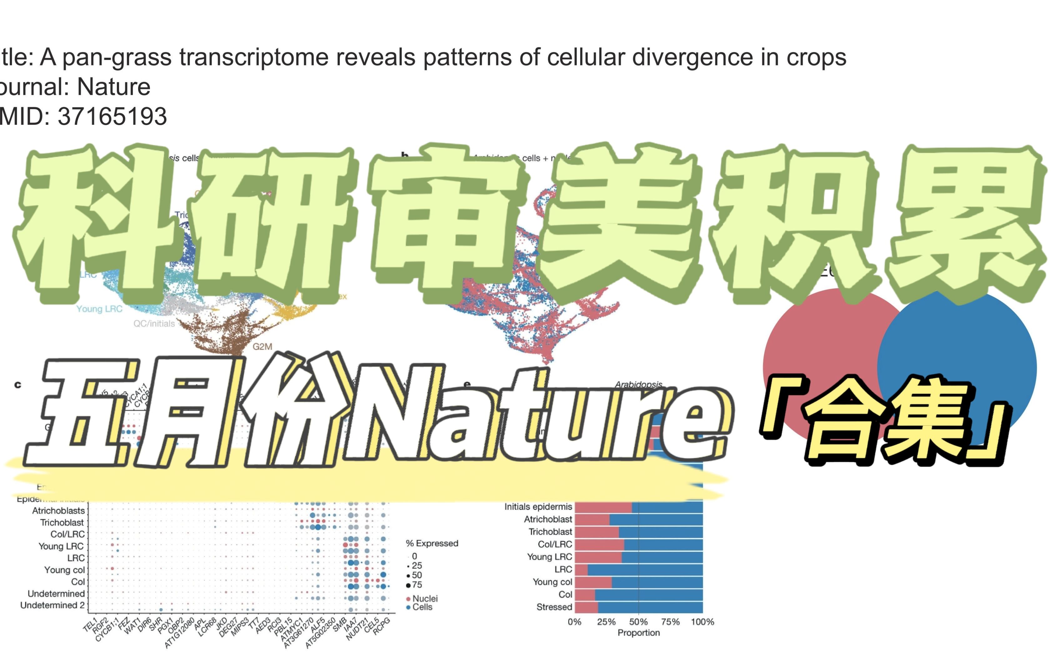 【科研审美积累】Day11 2023.05 Nature 色板合集哔哩哔哩bilibili