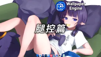 Descargar video: 【Wallpaper Engine】壁纸推荐：腿控专属篇