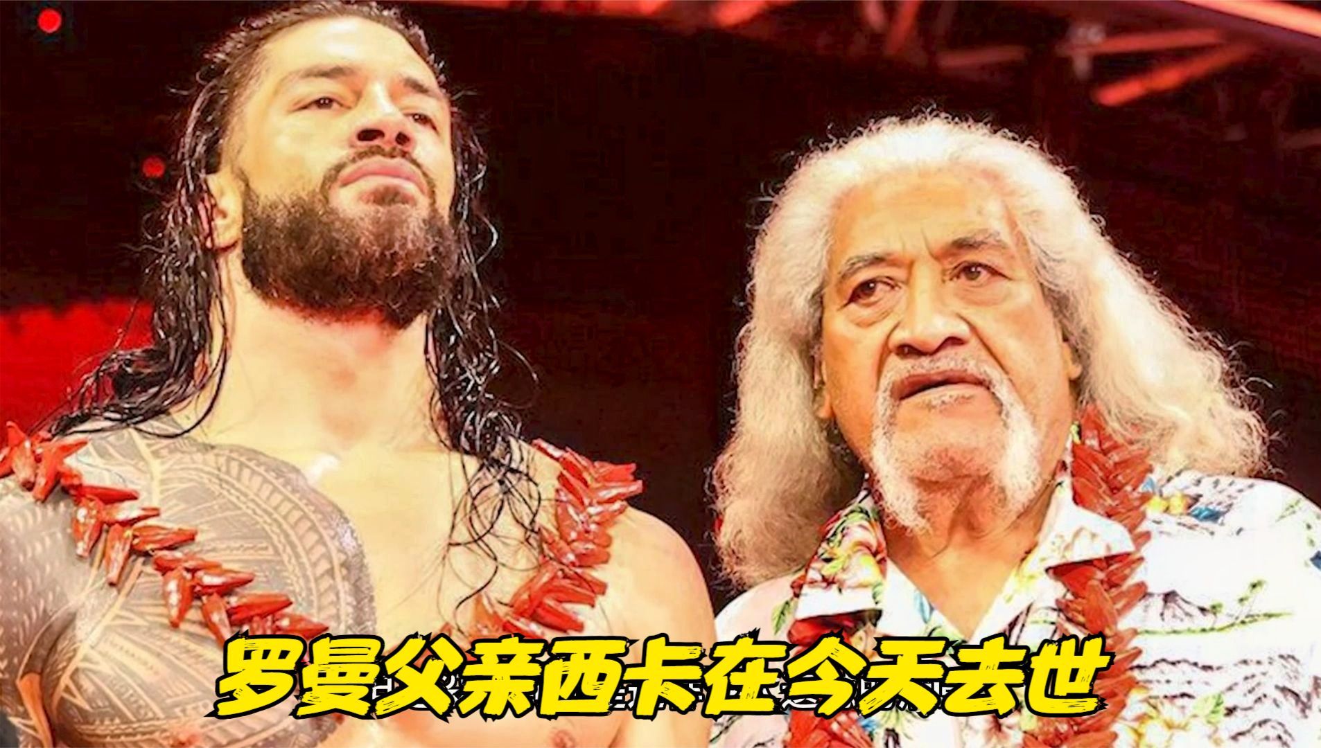 WWE名人堂成员西卡今天去世,罗曼雷恩斯因父亲去世发表推特消息哔哩哔哩bilibili