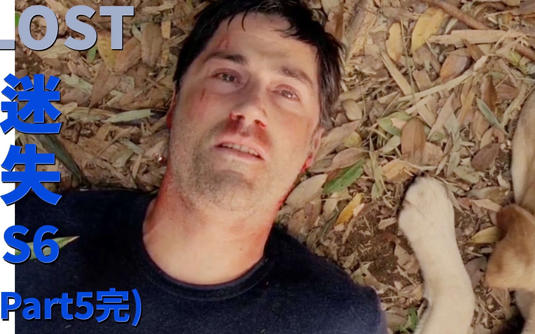 迷失LOST:独家解析烧脑神剧,大结局!黑白神的终极决斗! S6大结局 |抓马ⷧ𞎥‰祓”哩哔哩bilibili