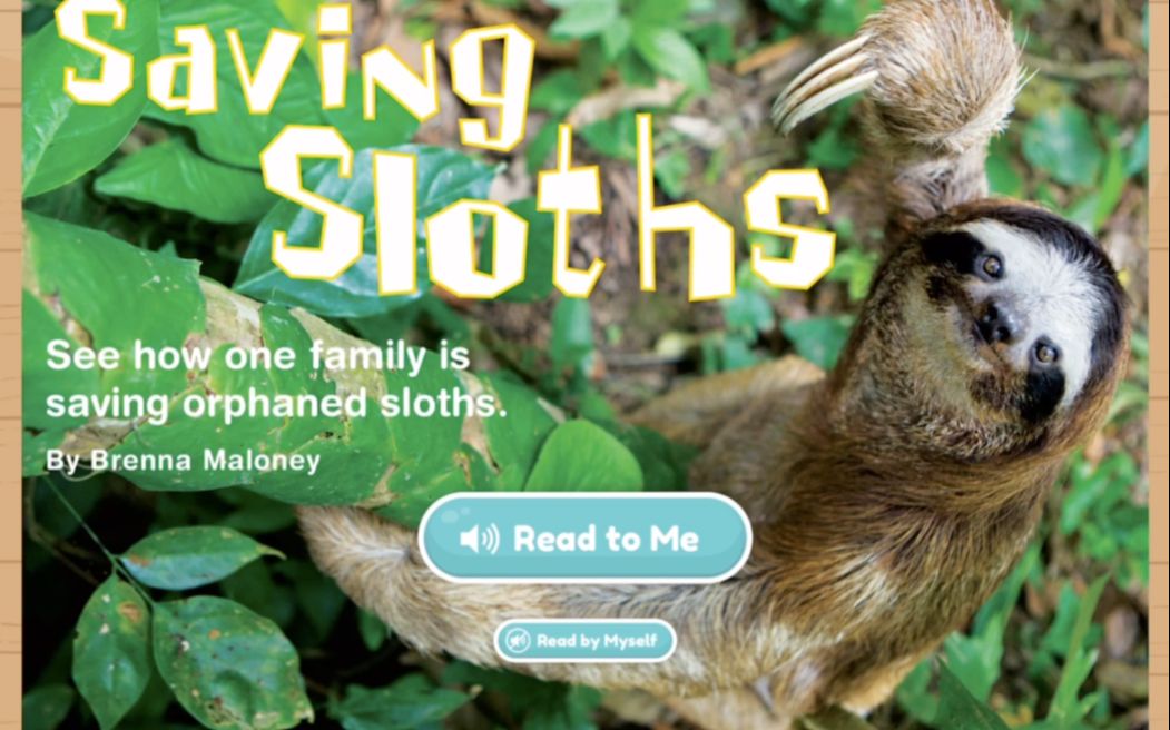 saving sloths | national geographic explorer (2nd grade)