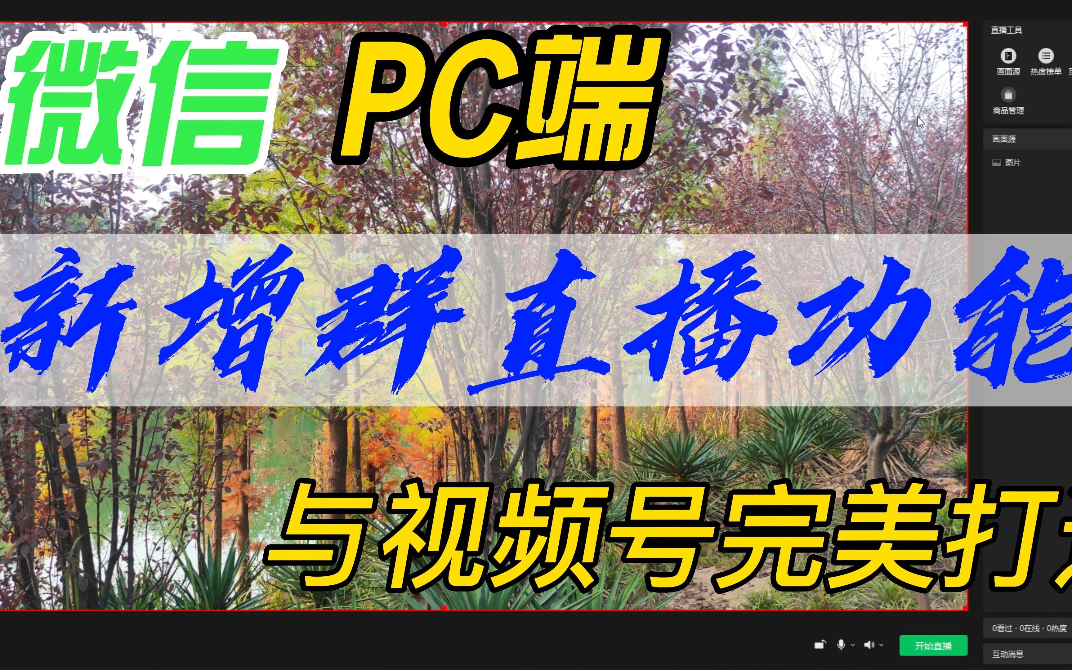 微信PC端,新增群直播功能,与视频号完美打通哔哩哔哩bilibili