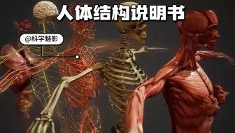 一次性看完组成人体的十大系统！人类真的是进化而来的吗？
