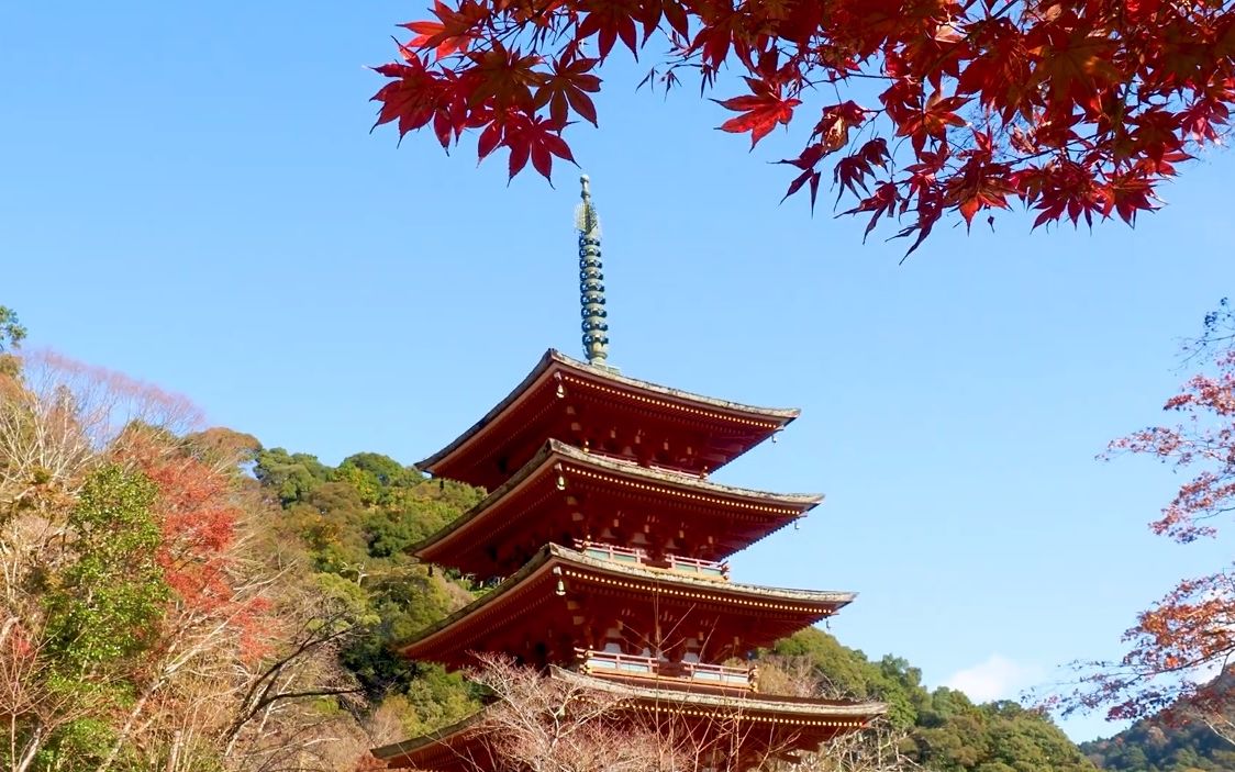 【超清日本】漫步秋季的奈良县樱井市 长谷寺 满开的红叶 (1080P高清版) 2020.11哔哩哔哩bilibili