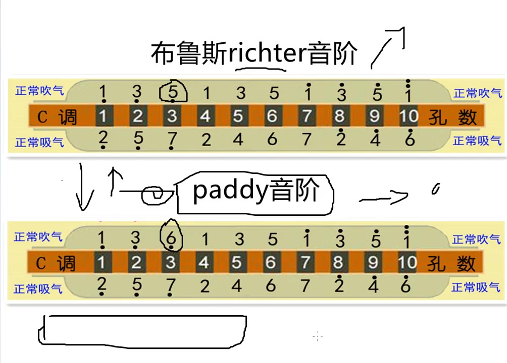 口琴知识普及音阶图对比这能叫抄袭吗乐理知识教育