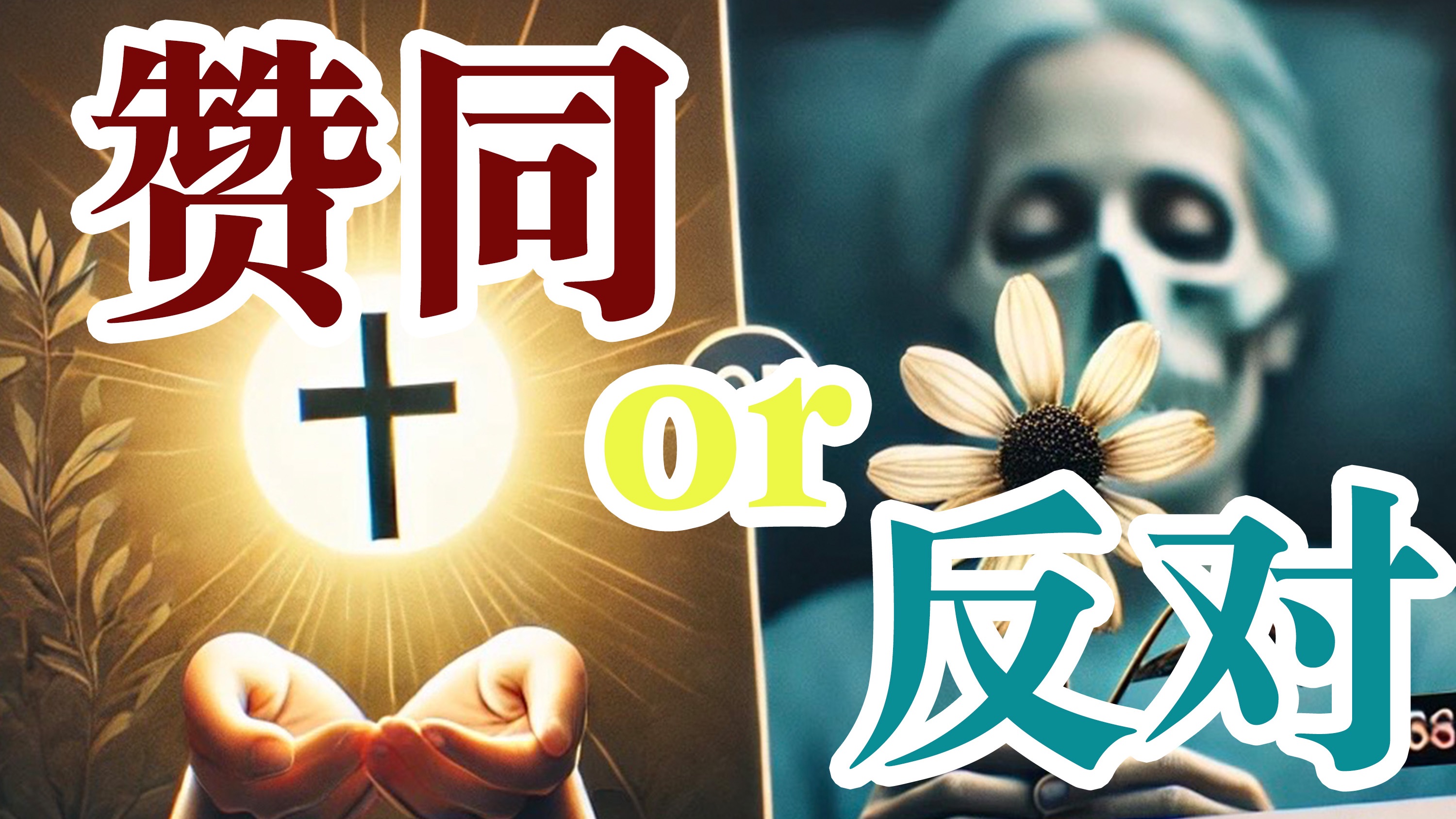 【温柔】你赞同还是反对安乐死?哔哩哔哩bilibili