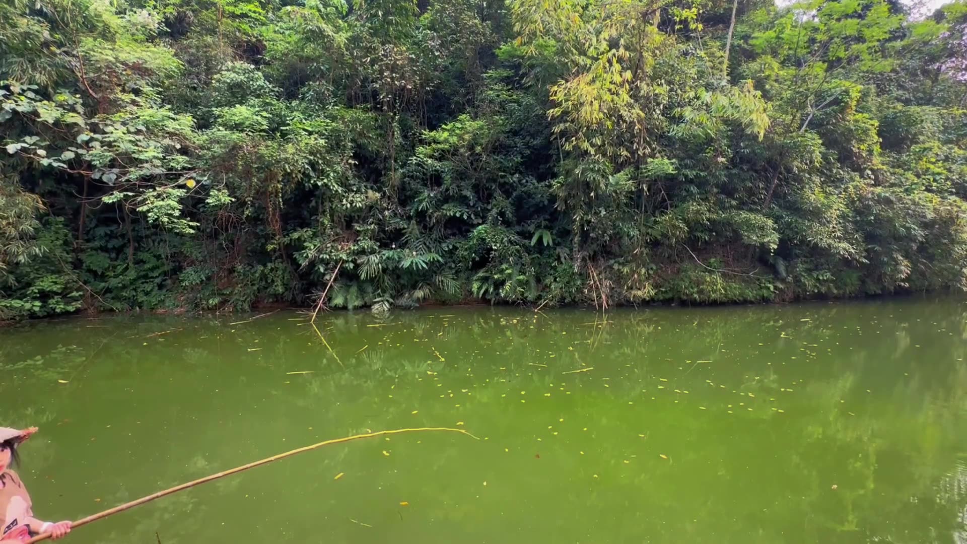 越南农村原生态鱼塘用香蕉钓鱼越南生活鱼塘农村生活