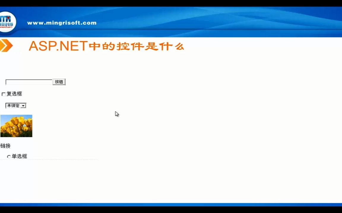 ASP.NET中的控件是什么