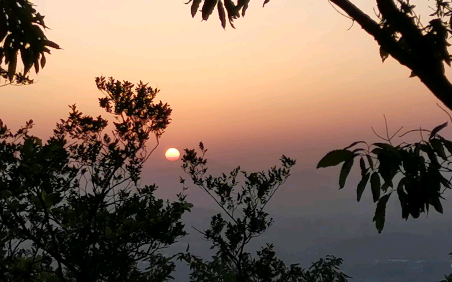 黎明破晓,20230430,南京紫金山,十年老友