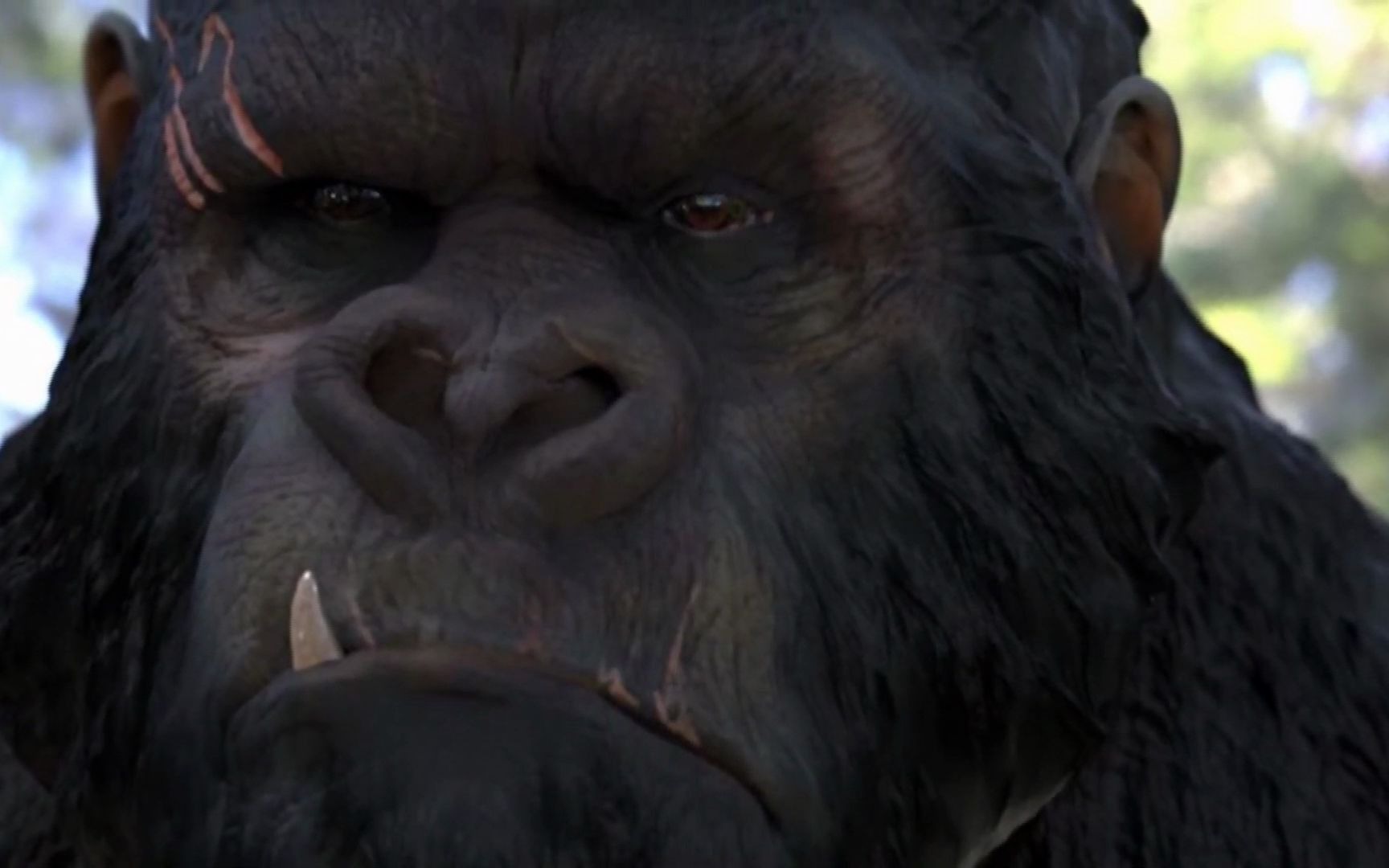 3d建模大猩猩3d模型制作zbrush加速雕刻