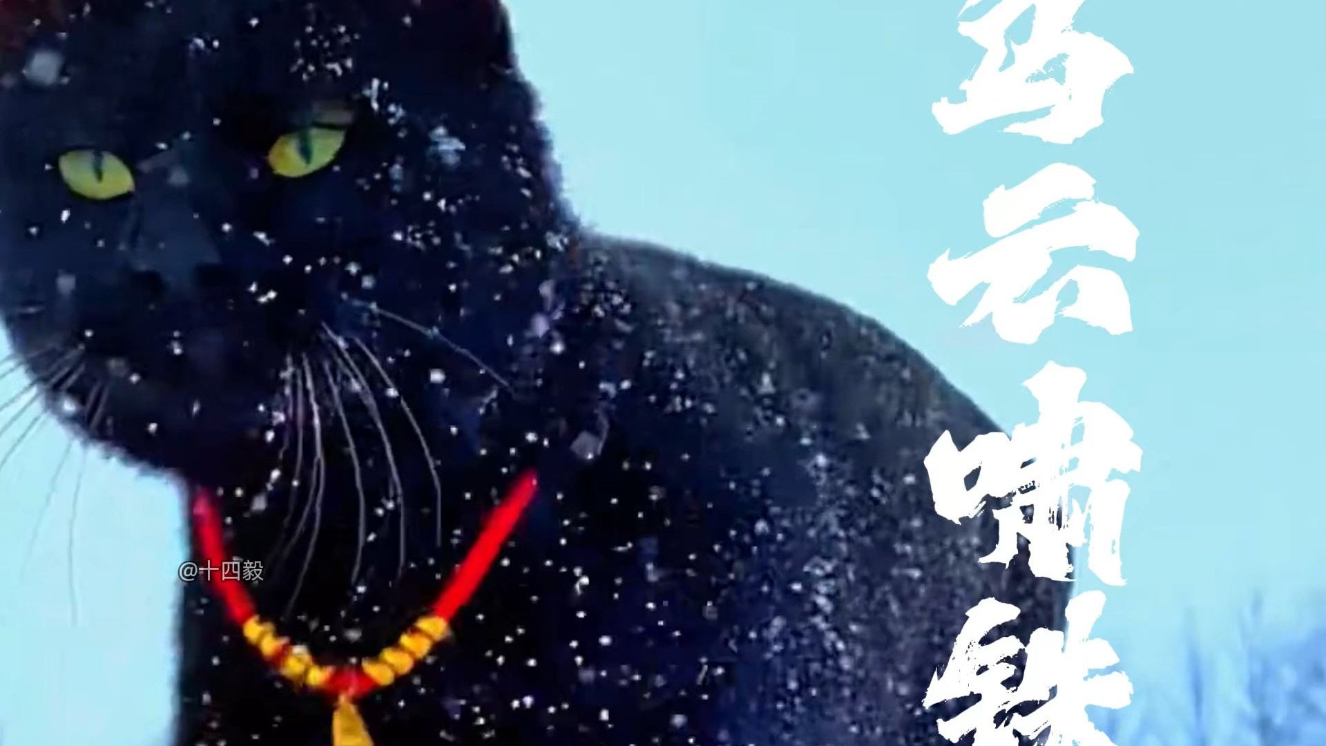 玄猫，古人称之为乌云啸铁，在古代是辟邪之物！-十四毅-十四毅-哔哩哔哩视频
